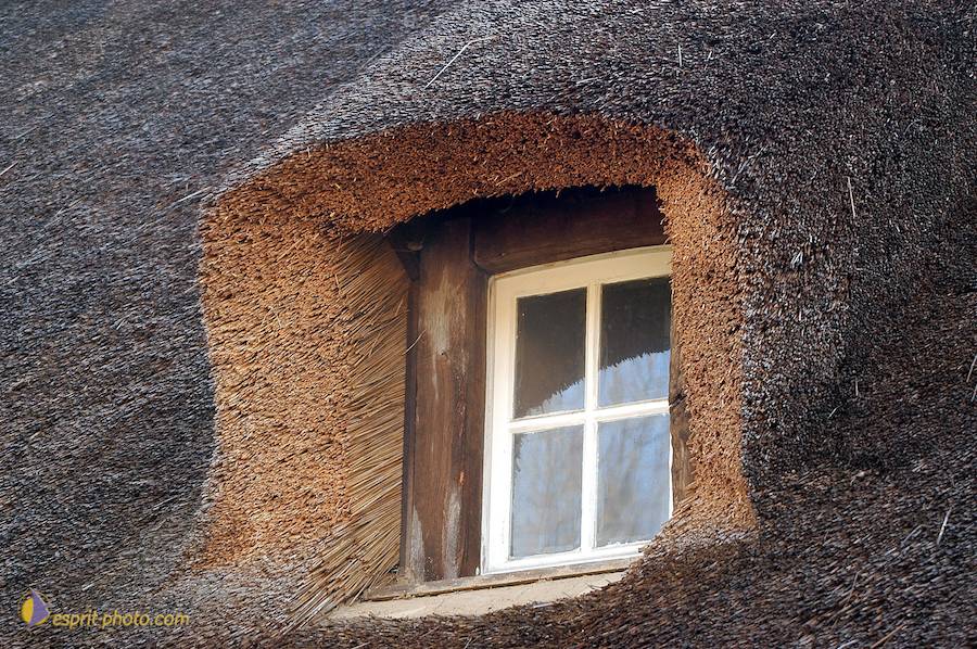 Nom de l'image : D1120010-01_(c)Norbert-JUNG — Description :  PËlerinage de Chartres 2004